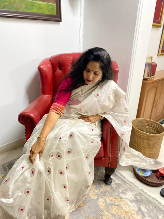 Classic Cotton Saree